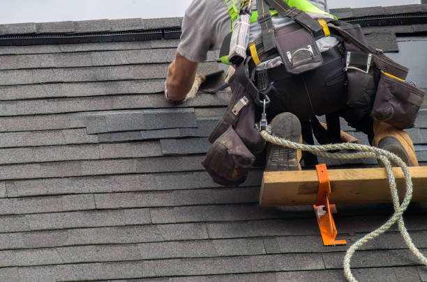 Best Storm Damage Roof Repair  in King Arthur Park, MT